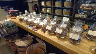 フレッシュローストコーヒー豆の木のイメージ画像